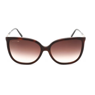 Lacoste L963S Sunglasses Havana / Brown Gradient Women's-AmbrogioShoes