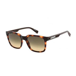 Lacoste L967S Sunglasses HAVANA / Brown Gradient-AmbrogioShoes