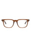 21181 - Brown Brown Transparent