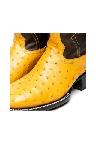 Marco Di Milano Alabama Buttercup Exotic Ostrich Skin Cowboy Boot (MDM1225)
