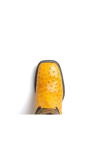 Marco Di Milano Alabama Buttercup Exotic Ostrich Skin Cowboy Boot (MDM1225)