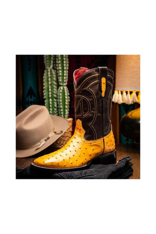 Marco Di Milano Alabama Buttercup Exotic Ostrich Skin Cowboy Boot (MDM1225)