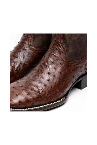 Marco Di Milano Alabama Kango Tabac Ostrich Skin Cowboy Boot (MDM1221)