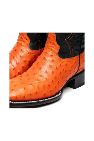 Marco Di Milano Alabama Orange Ostrich Skin Cowboy Boot (MDM1224)