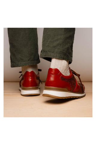 Marco Di Milano Brescia Cognac Genuine Snake Skin / Calf-Skin Leather Sneakers (MDM1124)