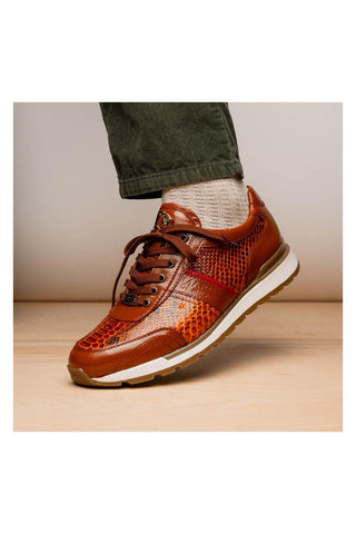 Marco Di Milano Brescia Honey Genuine Snake Skin / Leather Sneakers (MDM1124)