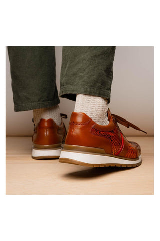 Marco Di Milano Brescia Honey Genuine Snake Skin / Leather Sneakers (MDM1124)
