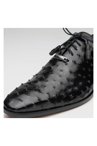 Marco Di Milano Criss Black Exotic Ostrich Quill Oxfords (MDM1073)