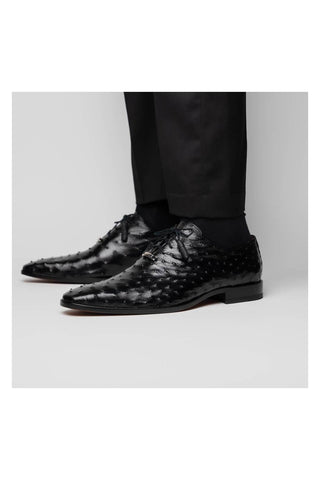 Marco Di Milano Criss Black Exotic Ostrich Quill Oxfords (MDM1073)