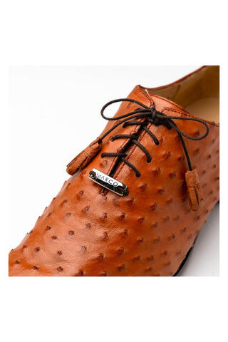 Marco Di Milano Criss Brandy Exotic Ostrich Quill Oxfords (MDM1073)