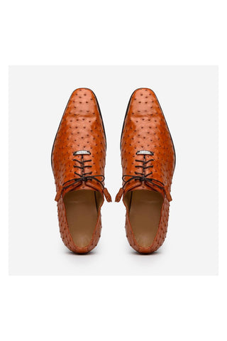 Marco Di Milano Criss Brandy Exotic Ostrich Quill Oxfords (MDM1073)