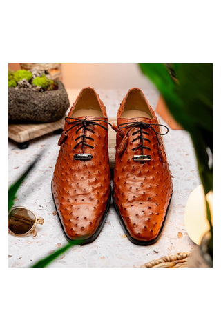 Marco Di Milano Criss Brandy Exotic Ostrich Quill Oxfords (MDM1073)
