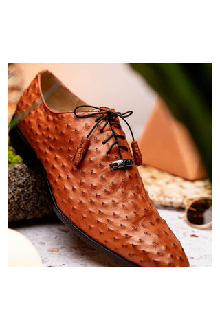Marco Di Milano Criss Brandy Ostrich Quill Oxfords (MDM1073)