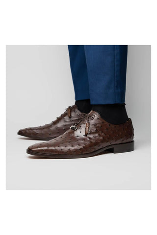 Marco Di Milano Criss Brown Ostrich Quill Oxfords (MDM1073)