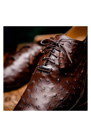 Marco Di Milano Criss Exotic Brown Ostrich Quill Oxfords (MDM1073)
