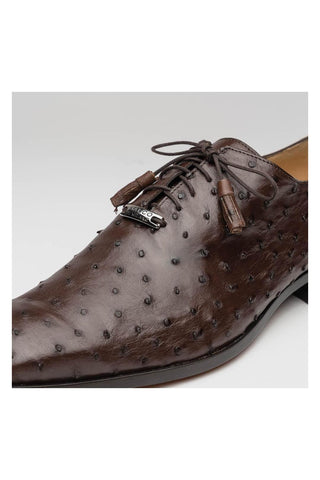 Marco Di Milano Criss Exotic Brown Ostrich Quill Oxfords (MDM1073)