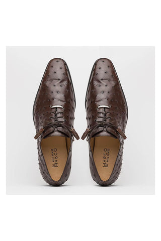 Marco Di Milano Criss Exotic Brown Ostrich Quill Oxfords (MDM1073)