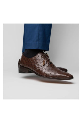 Marco Di Milano Criss Exotic Brown Ostrich Quill Oxfords (MDM1073)