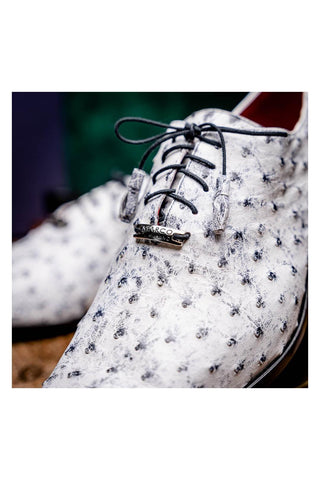 Marco Di Milano Criss Newspaper Ostrich Quill Oxfords (MDM1073)