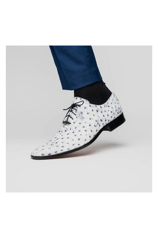 Marco Di Milano Criss Newspaper Ostrich Quill Oxfords (MDM1073)