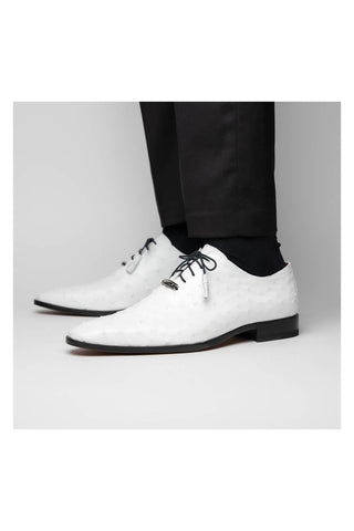 Marco Di Milano Criss White Exotic Ostrich Quill Oxfords (MDM1073)