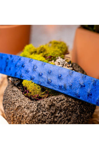 Marco Di Milano Domenico Men's Electric Blue Genuine Ostrich Skin Belts (MDMB1047)