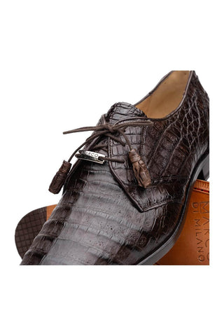 Marco Di Milano Lacio Brown Exotic Crocodile Derby (MDM1019)