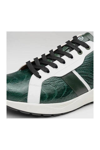 Marco Di Milano Lyon Green & White Calf-Skin / Ostrich Casual Sneakers (MDM1072)