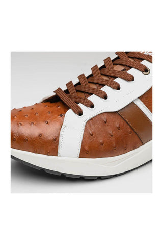 Marco Di Milano Lyon II Brandy & White Calf-Skin / Ostrich Leg Casual Sneakers (MDM1068)