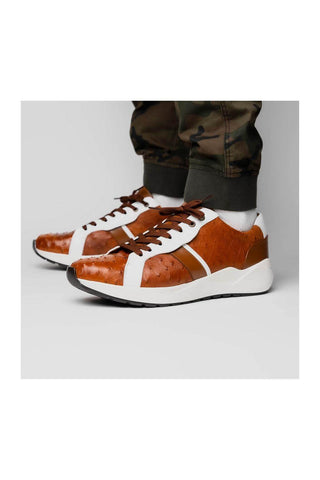 Marco Di Milano Lyon II Brandy & White Calf-Skin / Ostrich Leg Casual Sneakers (MDM1068)
