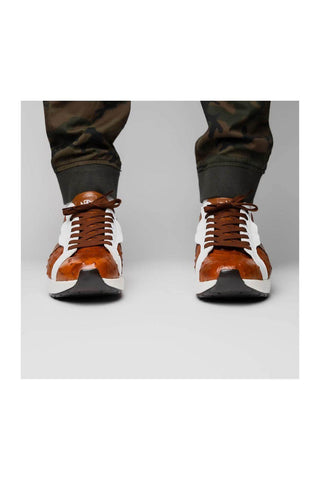 Marco Di Milano Lyon II Brandy & White Calf-Skin / Ostrich Leg Casual Sneakers (MDM1068)