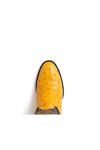 Marco Di Milano Savannah Buttercup Ostrich Skin Cowboy Boot (MDM1226)