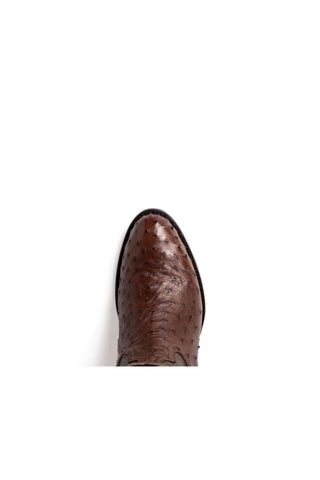 Marco Di Milano Savannah Kango Tabacco Exotic Ostrich Skin Cowboy Boot (MDM1230)