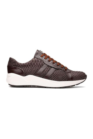 Marco Di Milano Verona Brown Exotic Python / Calfskin Fashion Sneakers (MDM1160)