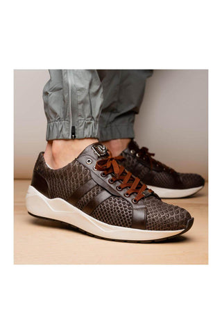 Marco Di Milano Verona Brown Python / Calfskin Fashion Sneakers (MDM1160)