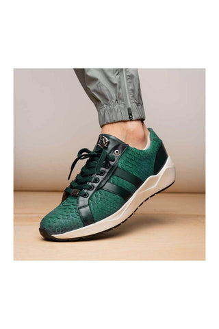 Marco Di Milano Verona Green Python / Calfskin Fashion Sneakers (MDM1160)