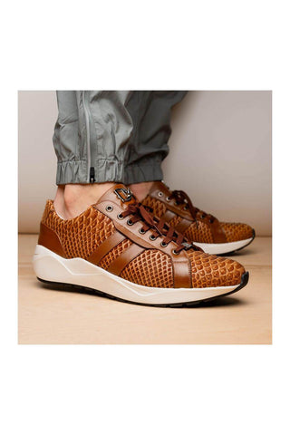 Marco Di Milano Verona Honey Exotic Python / Calfskin Fashion Sneakers (MDM1160)