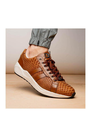 Marco Di Milano Verona Honey Python / Calfskin Fashion Sneakers (MDM1160)