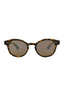 21137 - Tortoise Tortoise Bronze