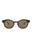 21137 - Tortoise Tortoise Bronze