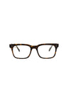 21125 - Tortoise Tortoise Transparent