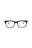 21125 - Tortoise Tortoise Transparent