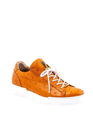 Mauri 8825/2 Ostrich Sneaker-AmbrogioShoes