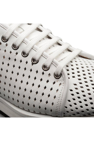 Mezlan Luce 21154 Perforated Leather Sneakers (MZ3737)