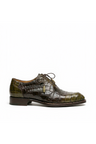 OLIVE / BROWN