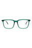 30016 - Green Green Transparent