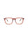 60064 - Burgundy Burgundy Transparent