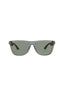 01141 - Grey Ruthenium Green