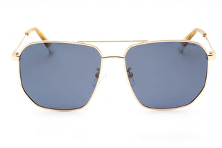 Polaroid Core PLD 4141/G/S/X Sunglasses GOLD BLUE / BLUE PZ-AmbrogioShoes