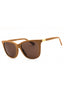 619673 - Shiny Brown / Dark Brown